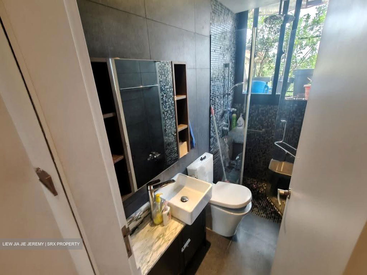Serangoon Garden Estate (D19), Semi-Detached #626944121